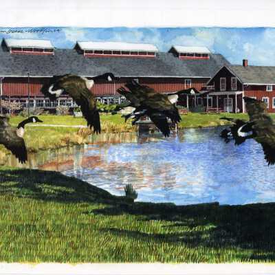 Barns on Greenbank Farm
