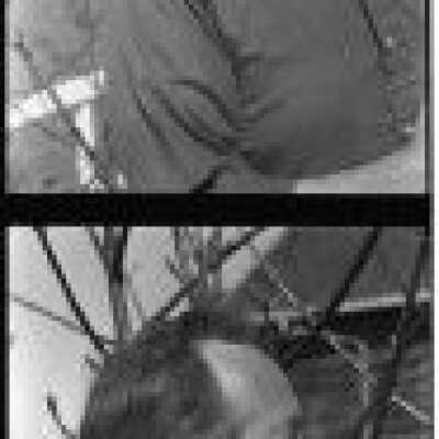 Origformat: Negative