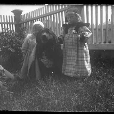 Negative, Glass-plate