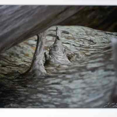March's Fine Fluidic Sculpture