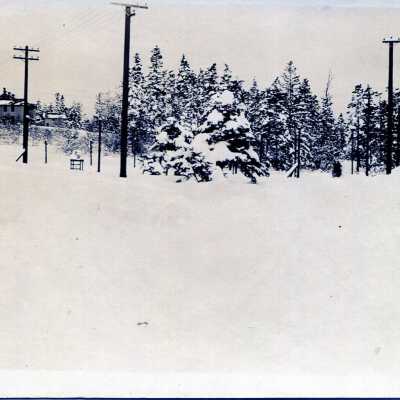 Postcard, Photographic, Photographic