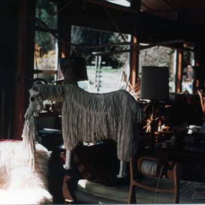Ann Meerkerk's Goat