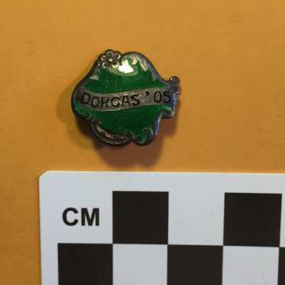 Pin, Fraternal