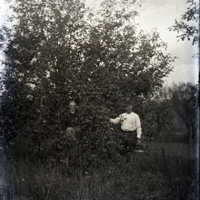 Negative, Glass-plate