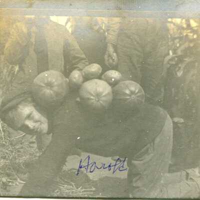Print, Photographic