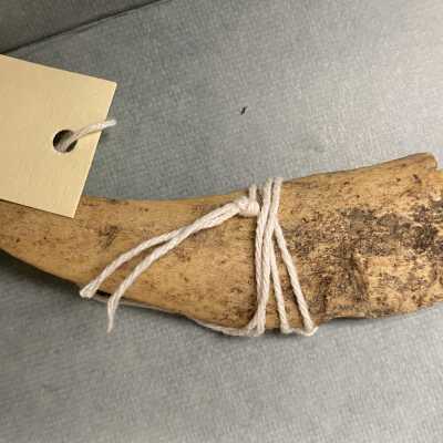 Fragment