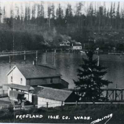 Freeland