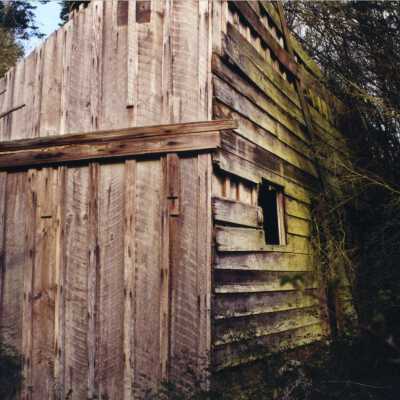 Photograph