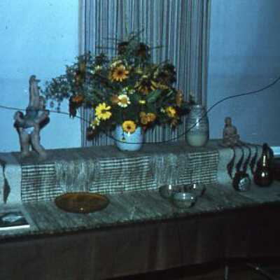 Ann Meerkerk Art Show
