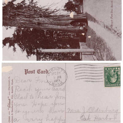 Postcard, Photographic