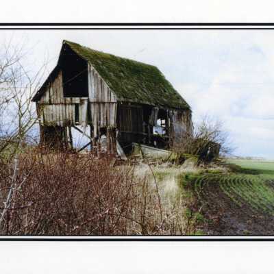 Photograph
