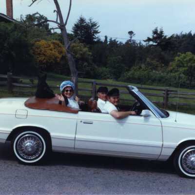 Photograph