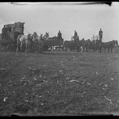 Horse Drawn Wagons