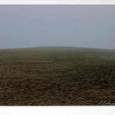 Solitary August