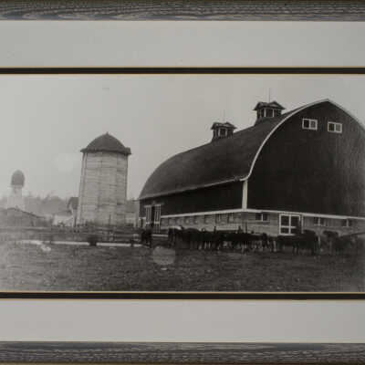 Photograph