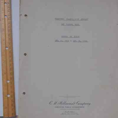 Audit Statement