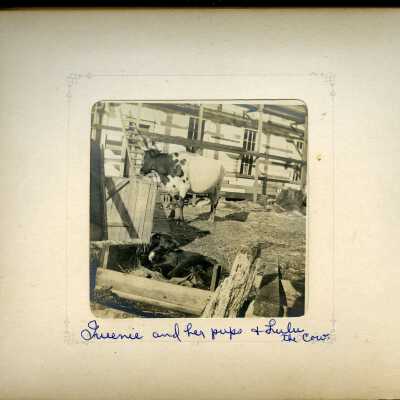 Photograph