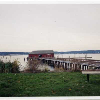 Photograph