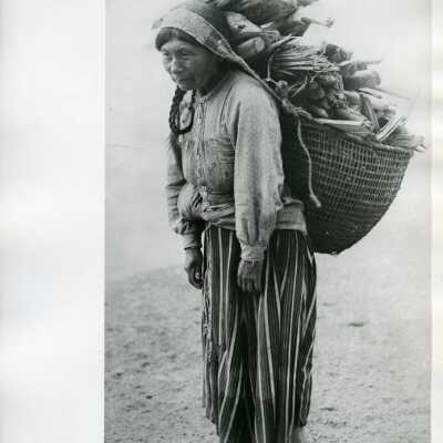 Origformat: Print-Photographic