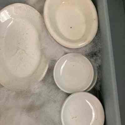 Ironstone Dishes
