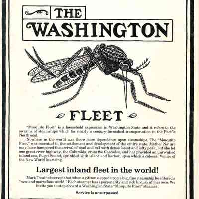 The Washington Fleet