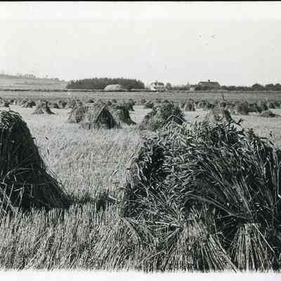 LeSourd Farm