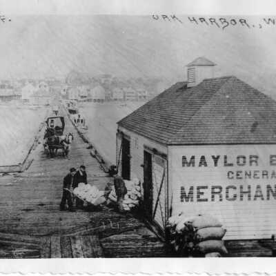Postcard, Photographic, Photographic
