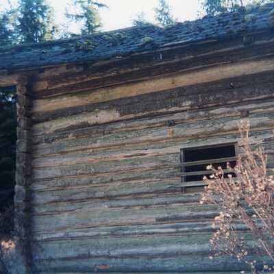Photograph