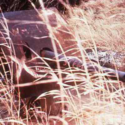Artillery Gun in Field