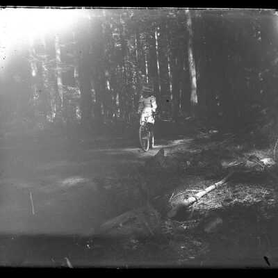 Negative, Glass-plate