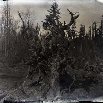 Negative, Glass-plate