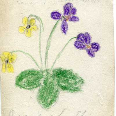 Card, Greeting