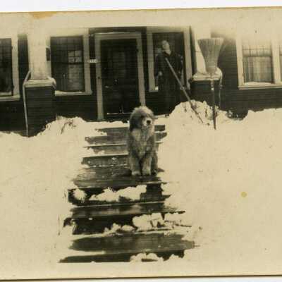 Print, Photographic