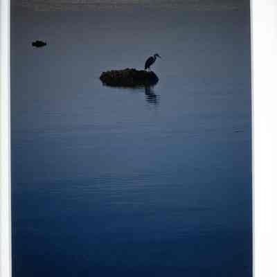 Dusky September Diner