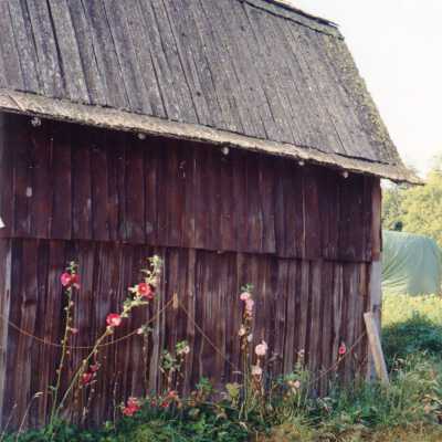 Photograph