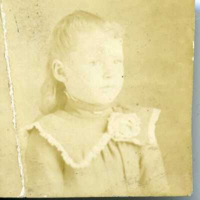 Photograph
