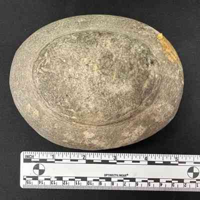 Oval Mudstone Concretion