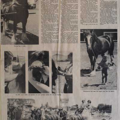 Whidbey News Times