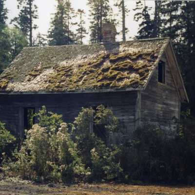 Photograph