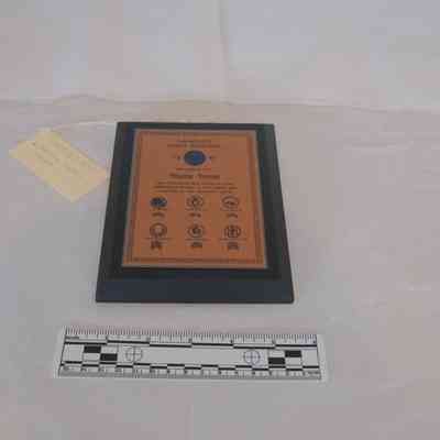 High School Award - Warene Hinton
