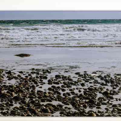 Surf Marches