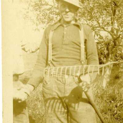 Photograph