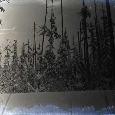 Negative, Glass-plate