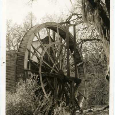 Postcard, Photographic