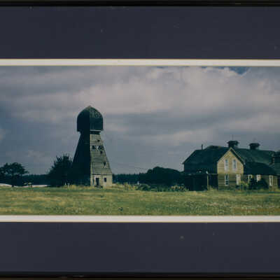 Photograph