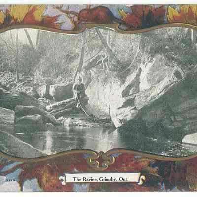 Forty Mile Creek Ravine