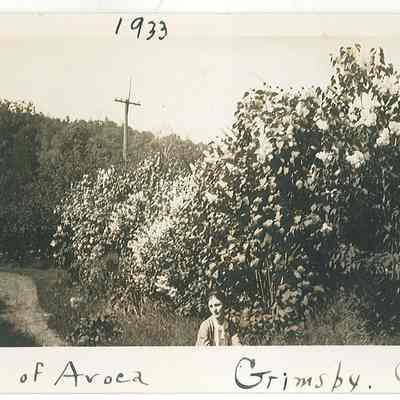 Vale of Avoca, Grimsby
