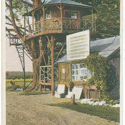 Honeymoon Hut, Maplewood Camp, Grimsby Ont: Source: George Duerden. Publisher: Arthur Burland, Made in Germany.