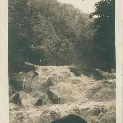 Rushing Forty Mile Creek