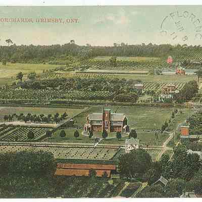Grimsby Orchards